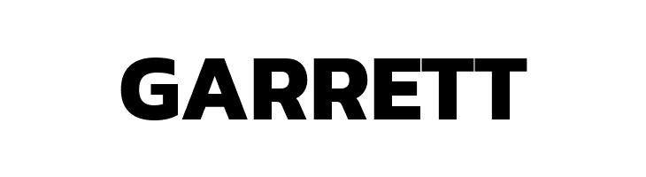 Dizhitl Bold  Free Fonts Download