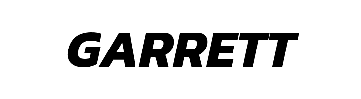 Dizhitl Bold Italic  Free Fonts Download