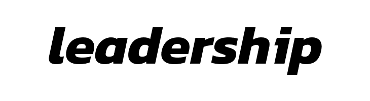 Dizhitl Bold Italic  Free Fonts Download