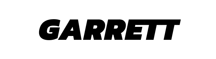 Dizhitl Black Italic  Free Fonts Download