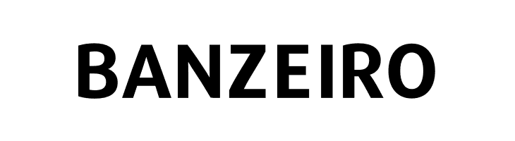 Repo-Bold  Free Fonts Download