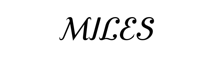 Cursive Serif Book  Free Fonts Download