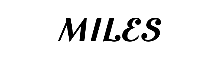 Cursive Sans Bold  Free Fonts Download