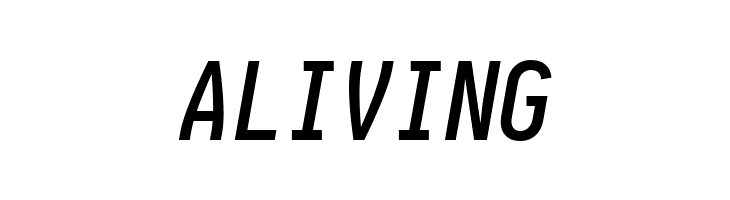 Aardvark Fixed Medium Italic  Free Fonts Download