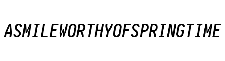 Aardvark Fixed Medium Italic  Free Fonts Download