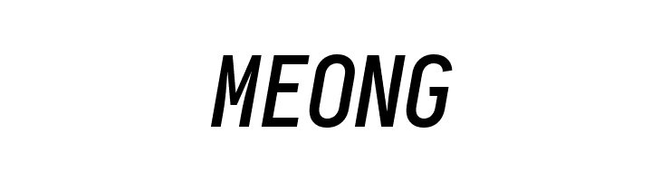 Aardvark Fixed Medium Italic  Free Fonts Download