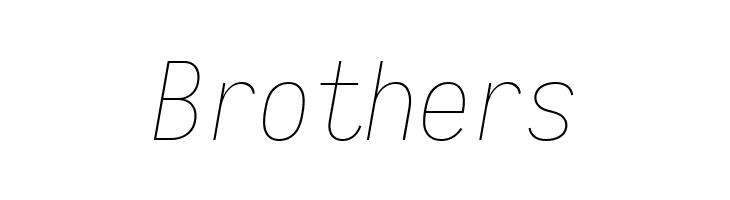 Aardvark Fixed Thin Italic  Free Fonts Download