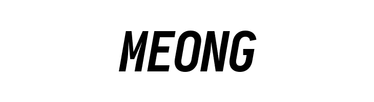 Aardvark Fixed Bold Italic  Free Fonts Download