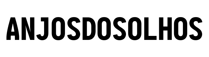 Aardvark Fixed Black  Free Fonts Download