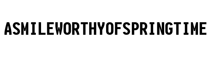 Aardvark Fixed Black  Free Fonts Download