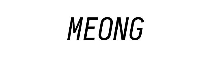 Aardvark Fixed Italic  Free Fonts Download