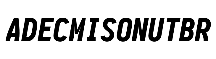 Aardvark Fixed Black Italic  Free Fonts Download