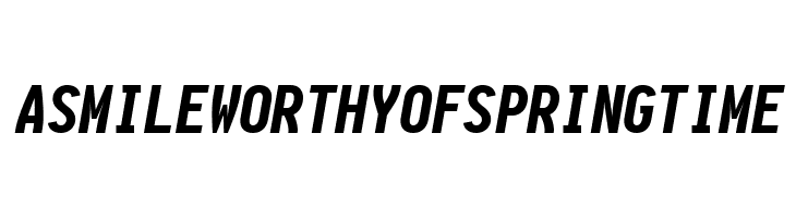 Aardvark Fixed Black Italic  Free Fonts Download