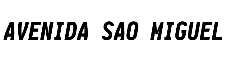 Aardvark Fixed Black Italic  Free Fonts Download