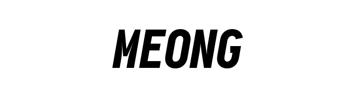 Aardvark Fixed Black Italic  Free Fonts Download