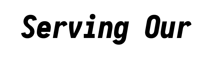 Aardvark Fixed Black Italic  Free Fonts Download