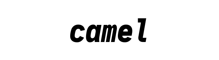 Aardvark Fixed Black Italic  Free Fonts Download