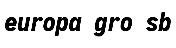 Aardvark Fixed Black Italic  Free Fonts Download
