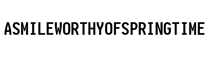 Aardvark Fixed Bold  Free Fonts Download