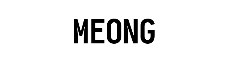 Aardvark Fixed Bold  Free Fonts Download