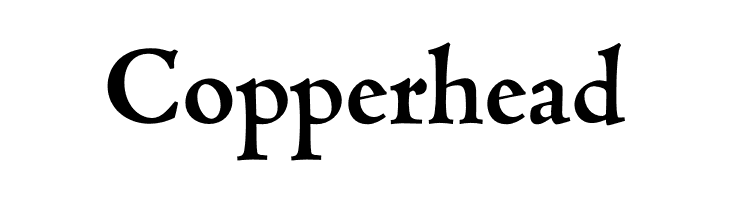 Coelacanth Bold  Free Fonts Download