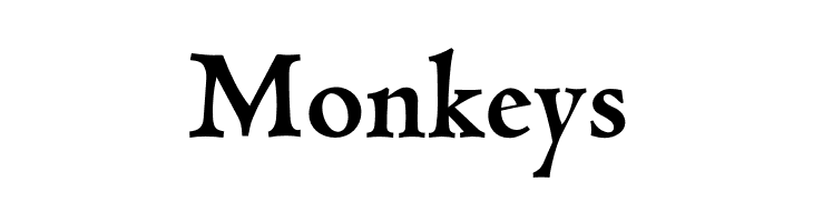 Coelacanth Bold  Free Fonts Download