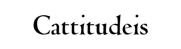 Coelacanth Display Bold  Free Fonts Download