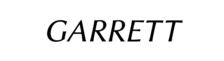 Libertinus Sans Italic  Free Fonts Download