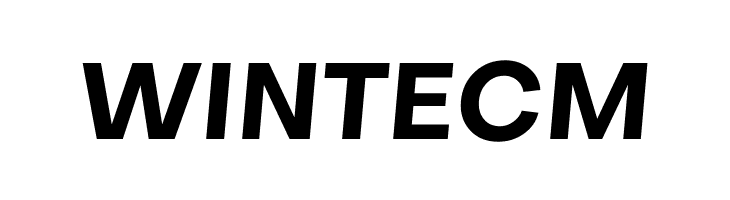 Metropolitano Bold Italic  Free Fonts Download