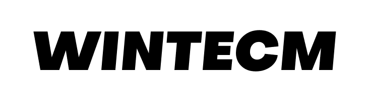 Metropolitano Black Italic  Free Fonts Download