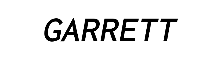 Inconsolata LGC Markup Bold Italic  Free Fonts Download