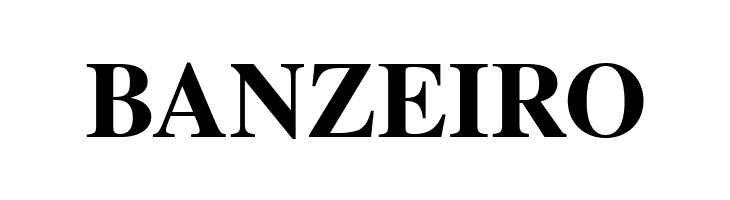 TGRoman Bold  Free Fonts Download