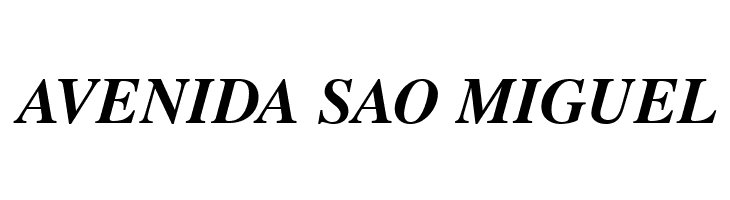 TGRoman Bold Italic  Free Fonts Download