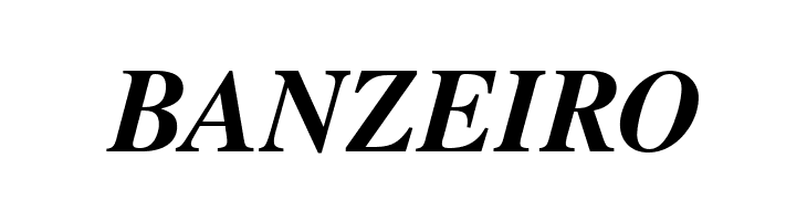 TGRoman Bold Italic  Free Fonts Download