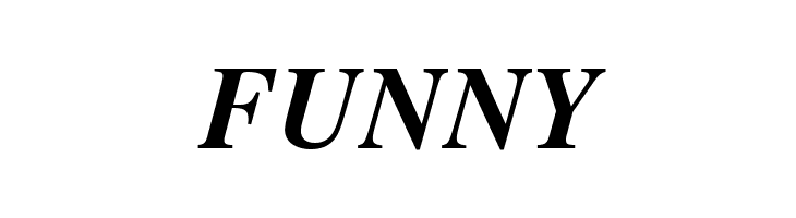 TGRoman Bold Italic  Free Fonts Download