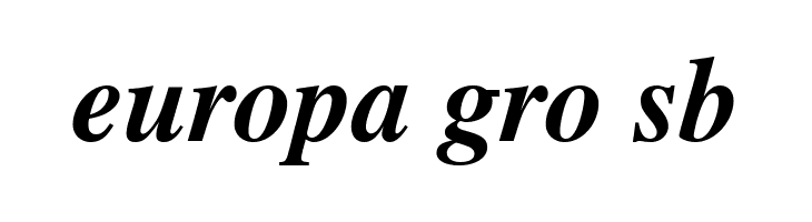 TGRoman Bold Italic  Free Fonts Download