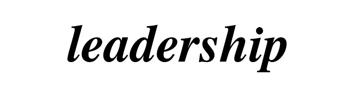 TGRoman Bold Italic  Free Fonts Download