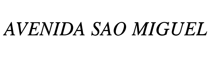 TGRoman Italic  Free Fonts Download