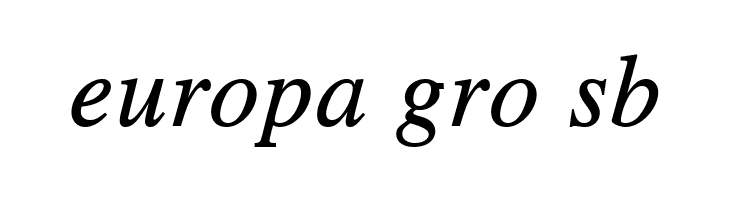 TGRoman Italic  Free Fonts Download