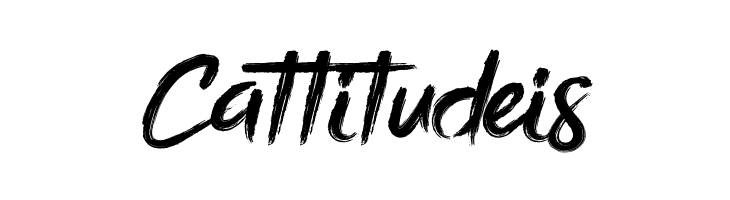 Bottomless Script  Free Fonts Download