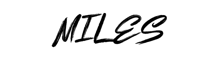 Bottomless Script  Free Fonts Download