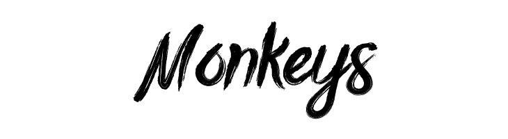 Bottomless Script  Free Fonts Download