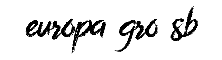 Bottomless Script  Free Fonts Download