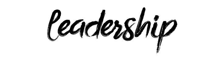 Bottomless Script  Free Fonts Download