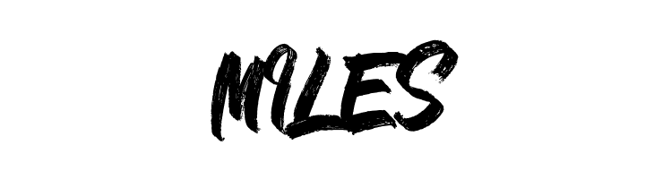 Blondness Demo  Free Fonts Download