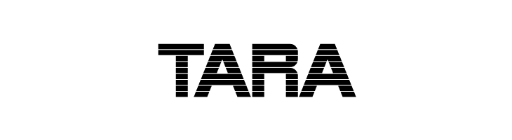 Alien Encounters Bold  Free Fonts Download