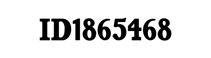 Bruntsfield CF Black Regular  Free Fonts Download