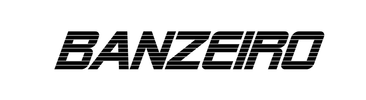 Alien Encounters Bold Italic  Free Fonts Download