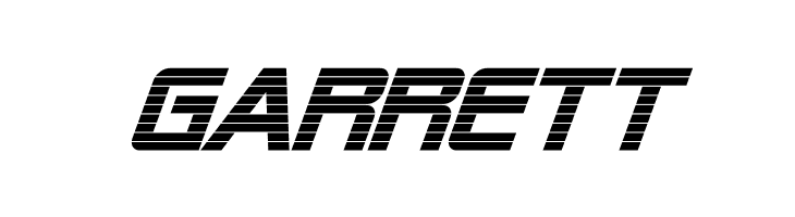 Alien Encounters Bold Italic  Free Fonts Download