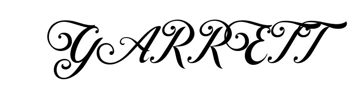 ControwellScript-Regular  Free Fonts Download